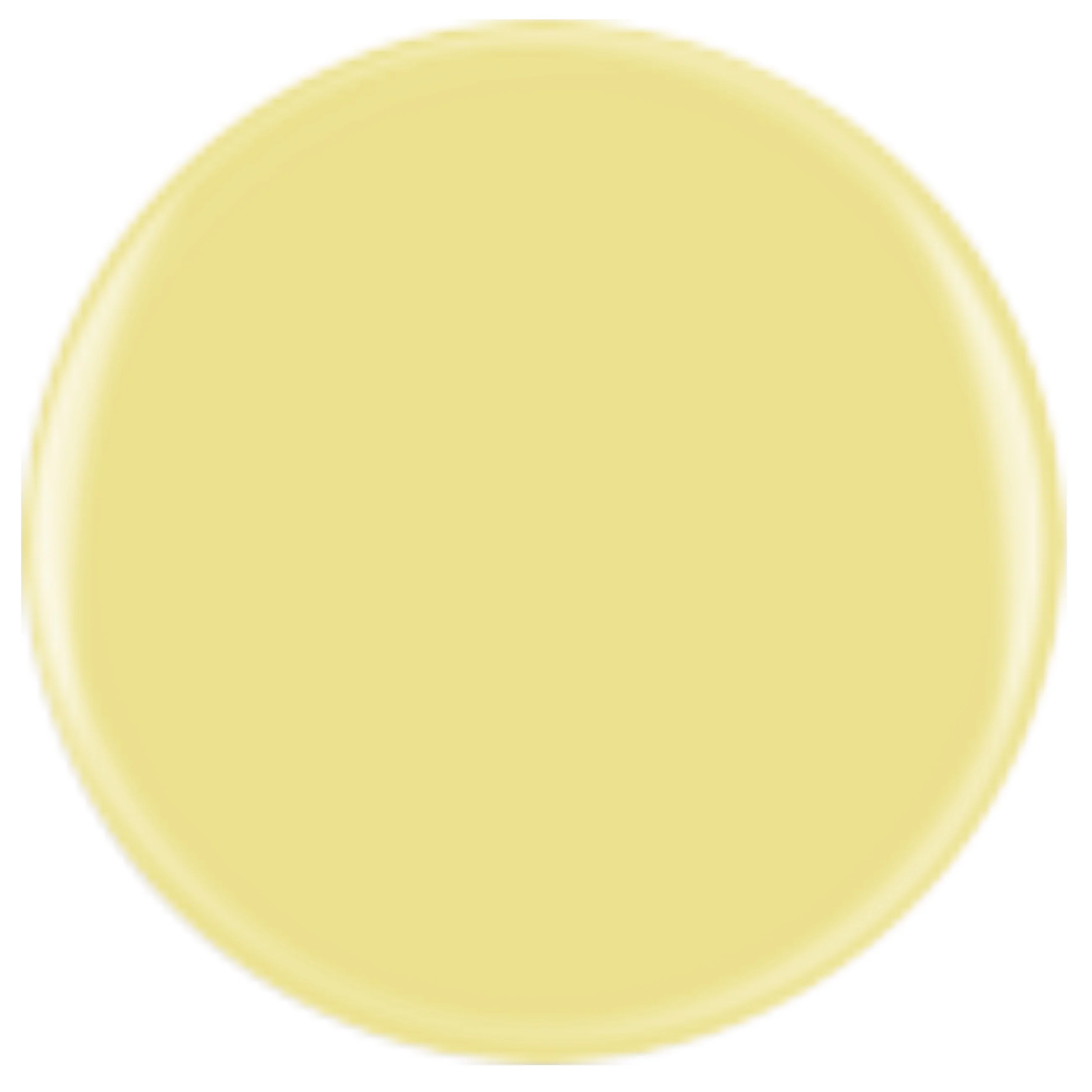 DIVA 164 - Buttercup - Image 2