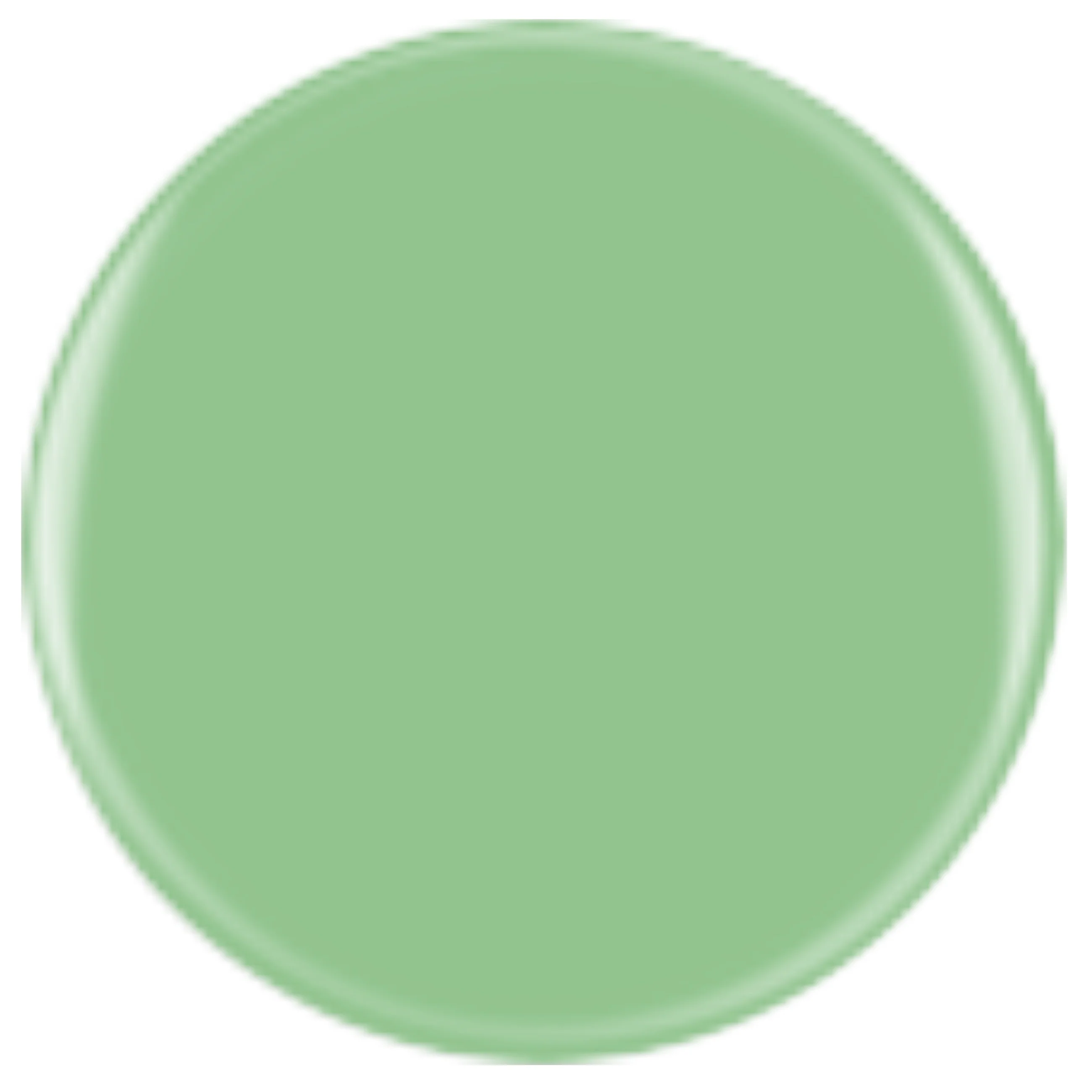 DIVA 169 - Matcha Green Tea - Image 2
