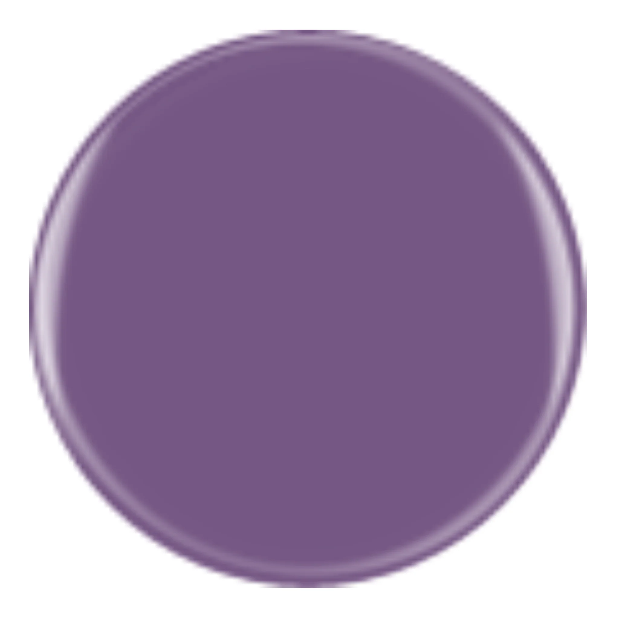 DIVA 206 - Flustered Purple - Image 2