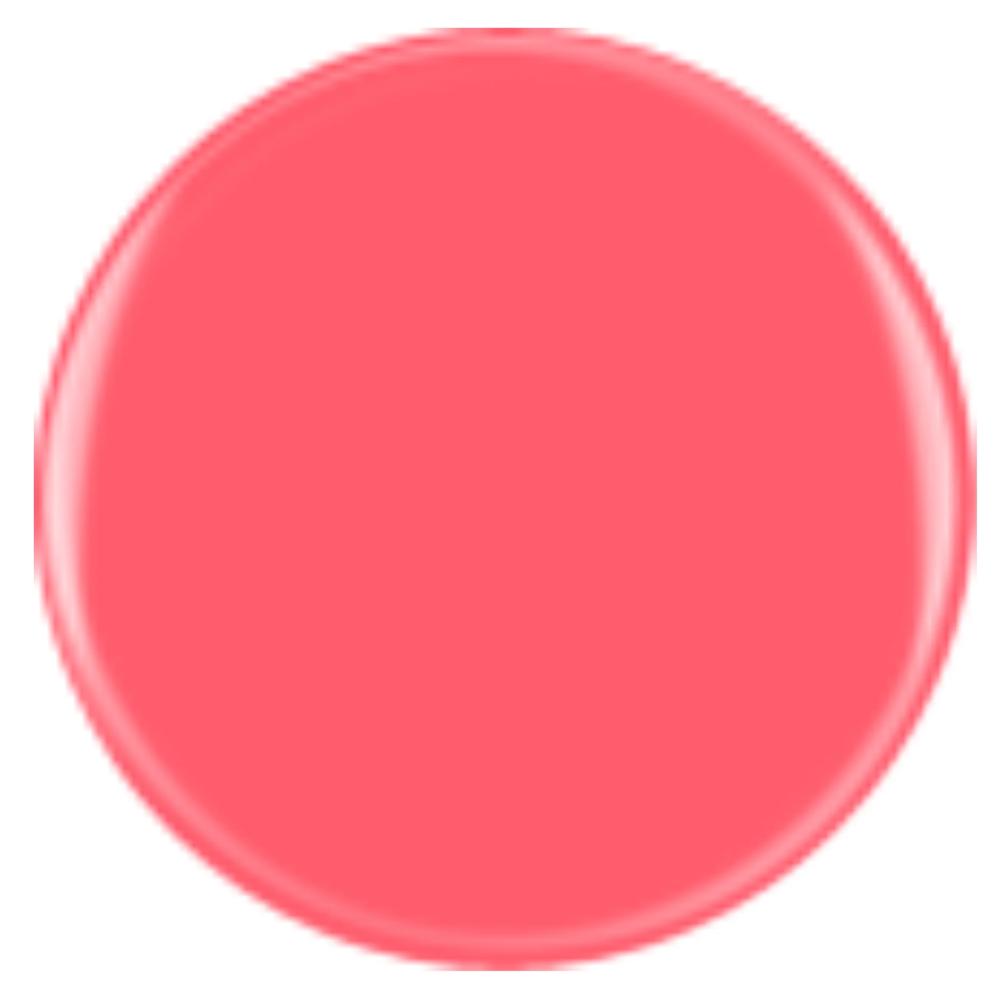 DIVA 211 - Piquant Flamingo - Image 2