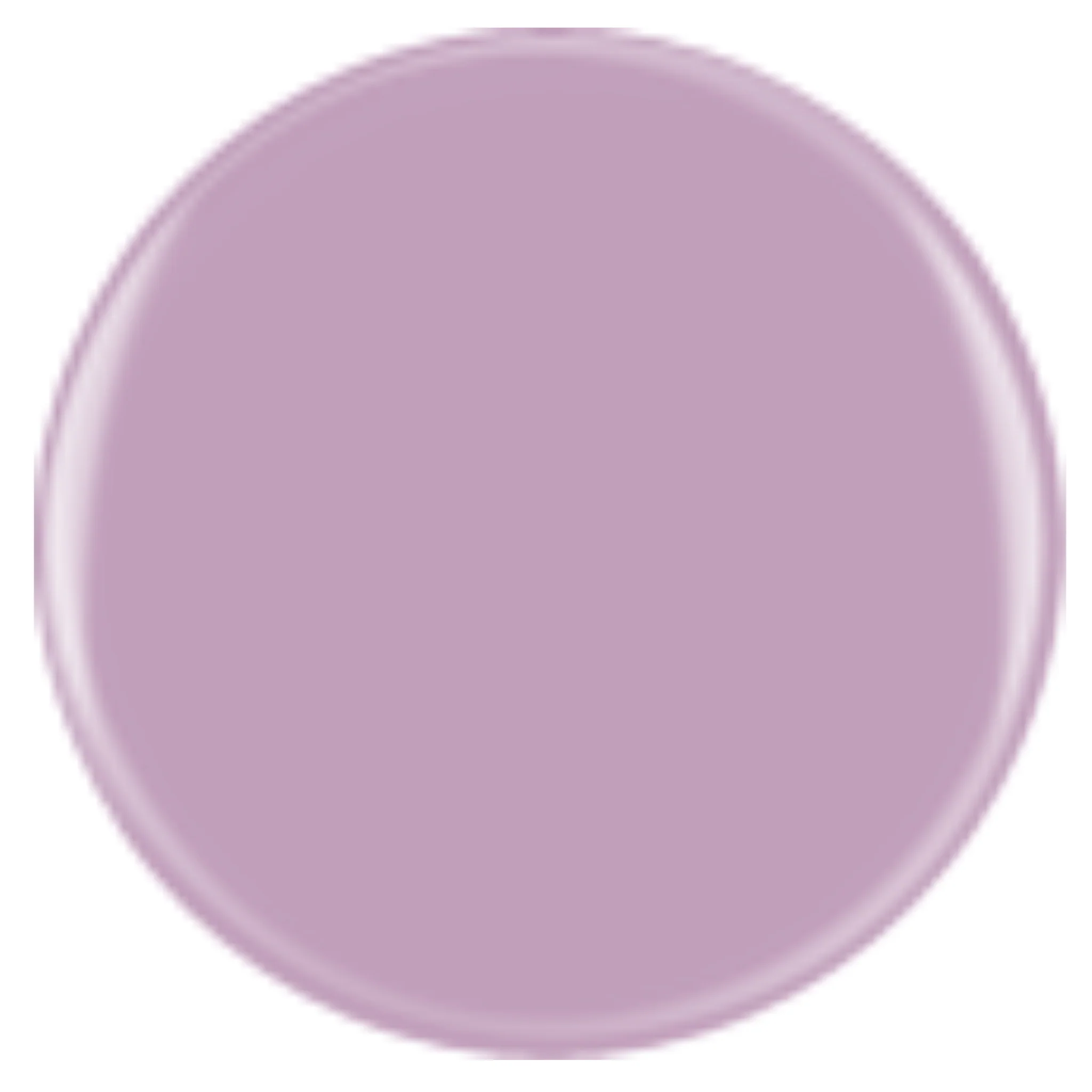 DIVA 215 - Purple Reign - Image 2