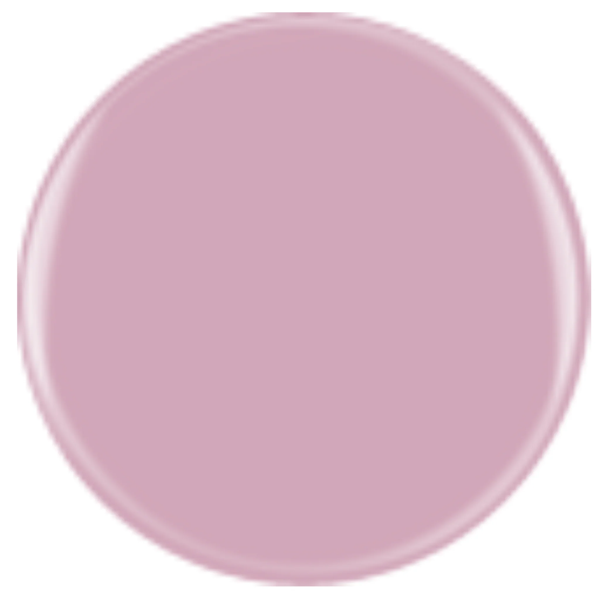 DIVA 217 - Bed Of Roses - Image 2