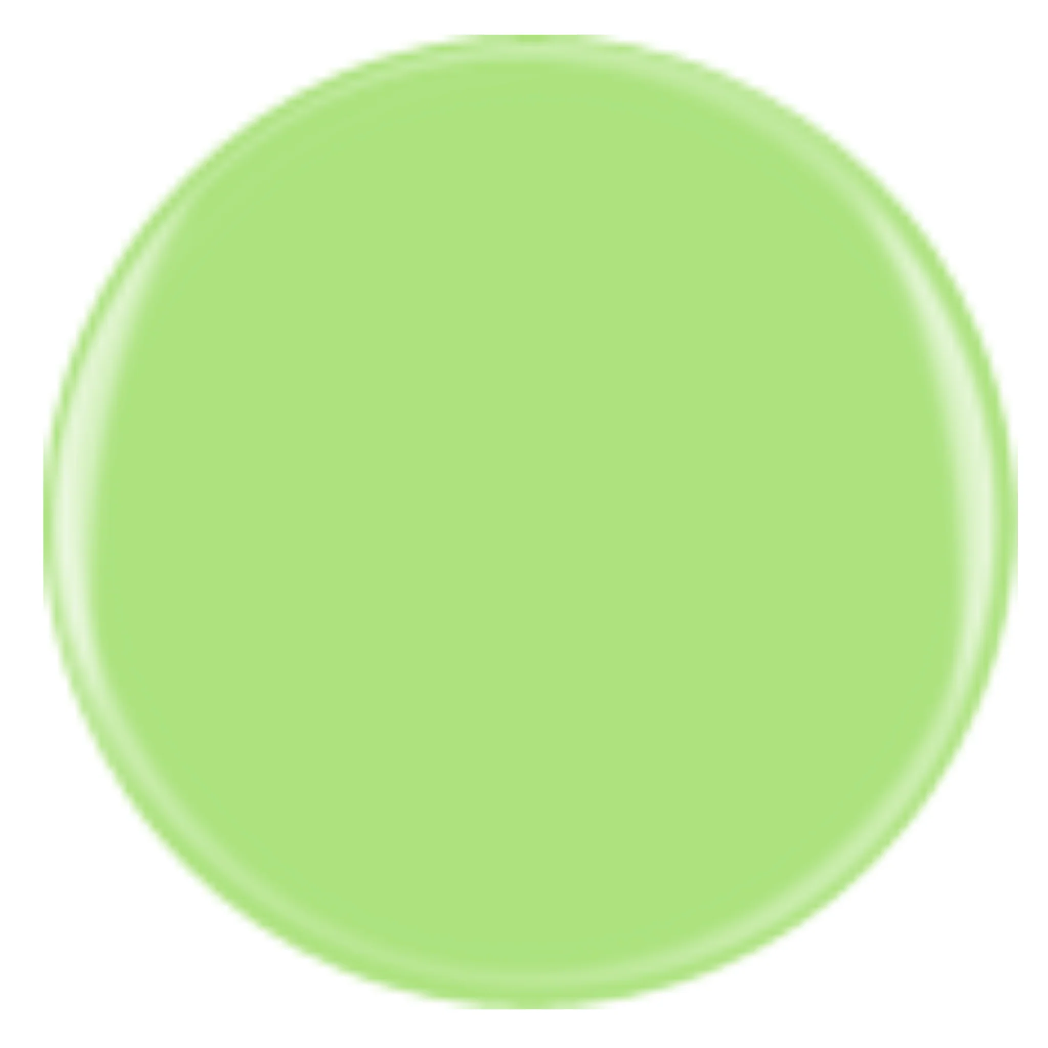 DIVA 224 - Salt Then Lime - Image 2