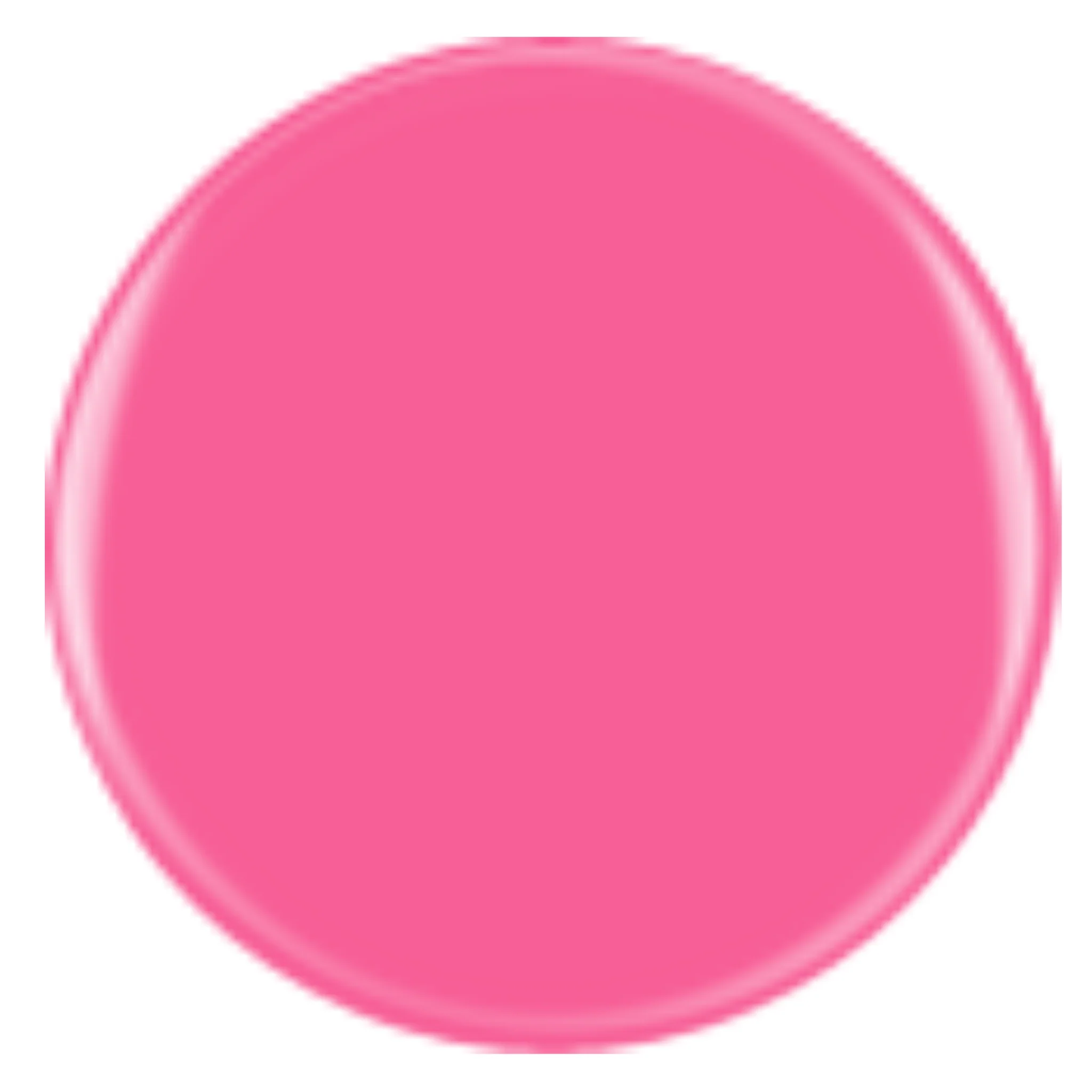 DIVA 240 - Flamingo Float - Image 2