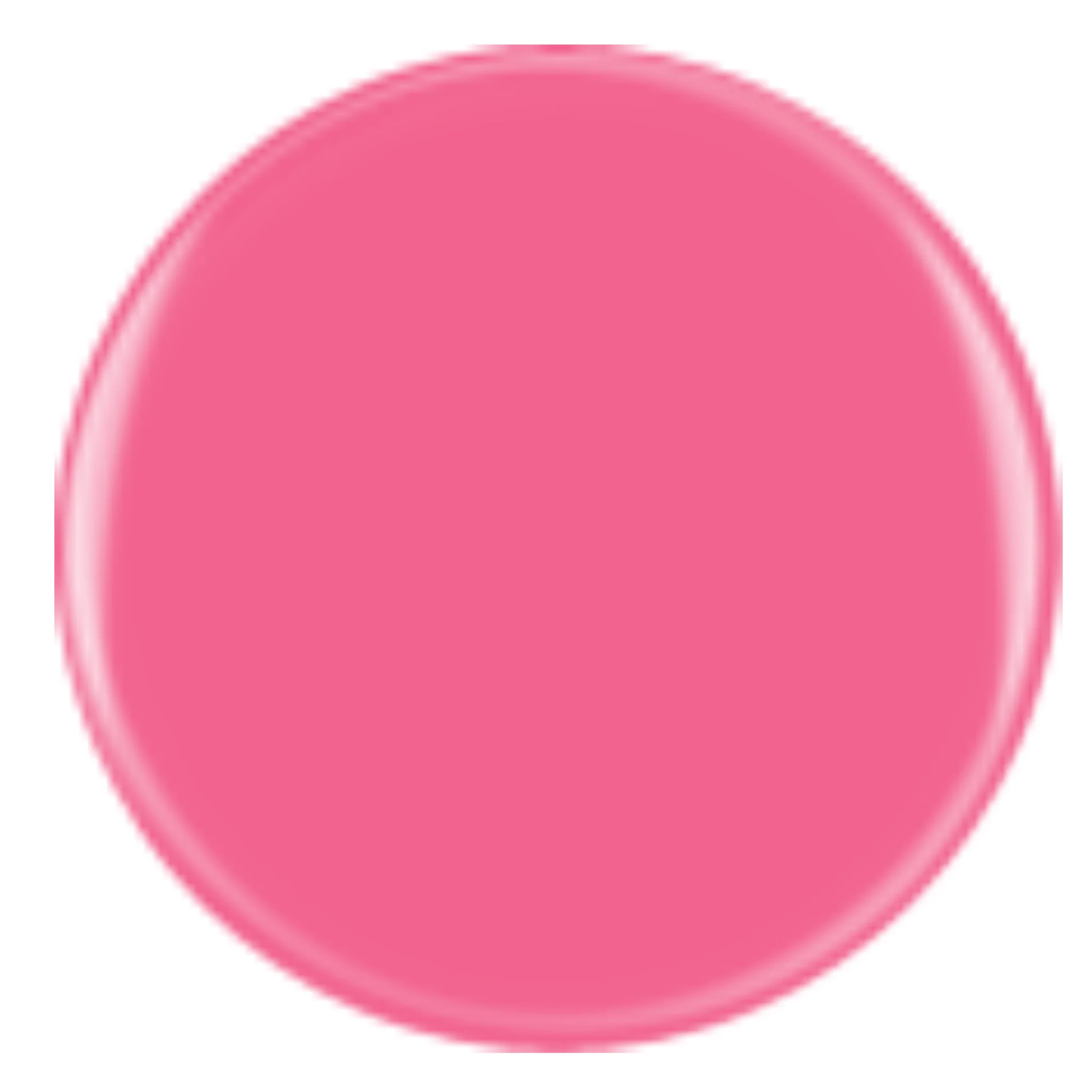 DIVA 284 - Pink Panty - Image 2