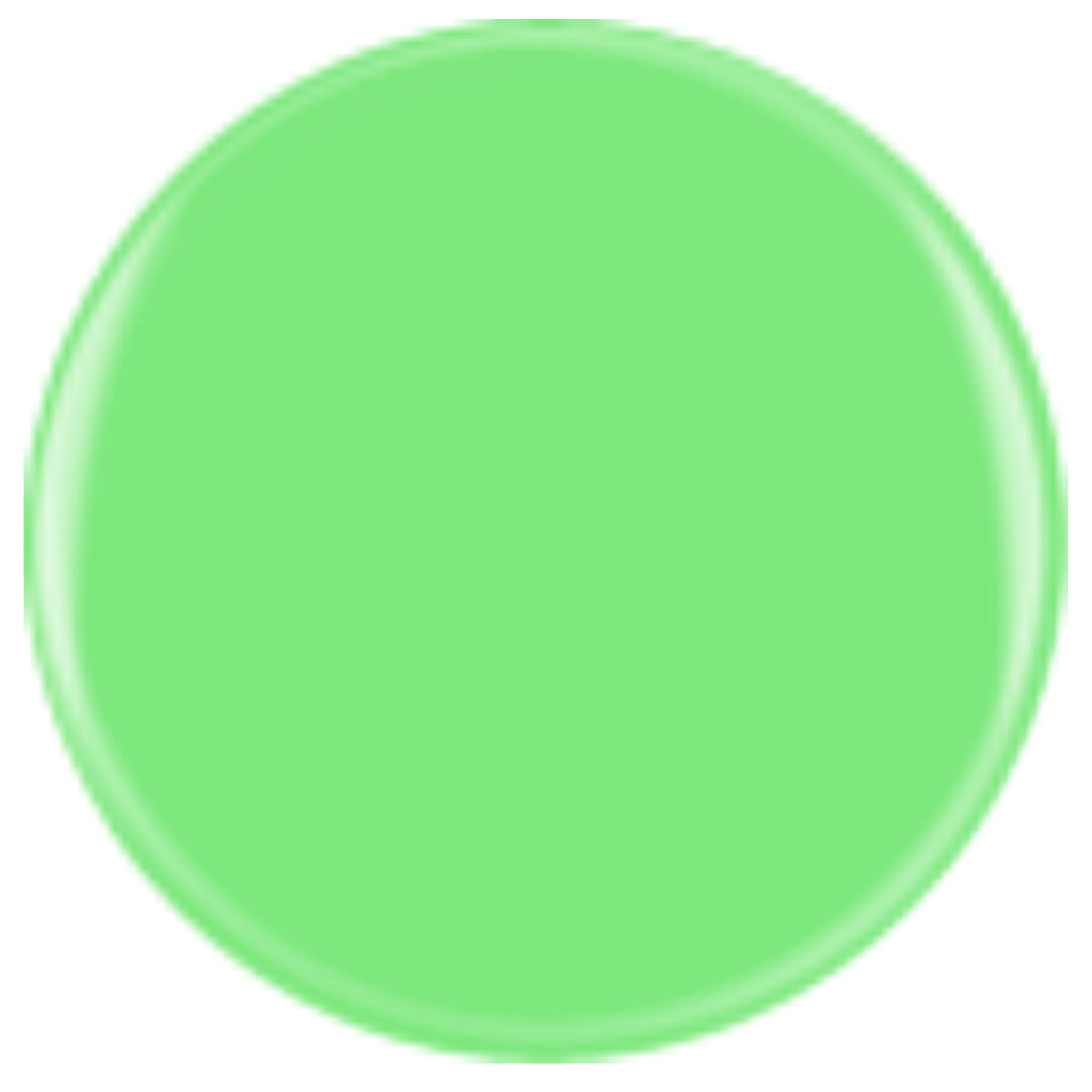 DIVA 304 - Electric Lime - Image 2
