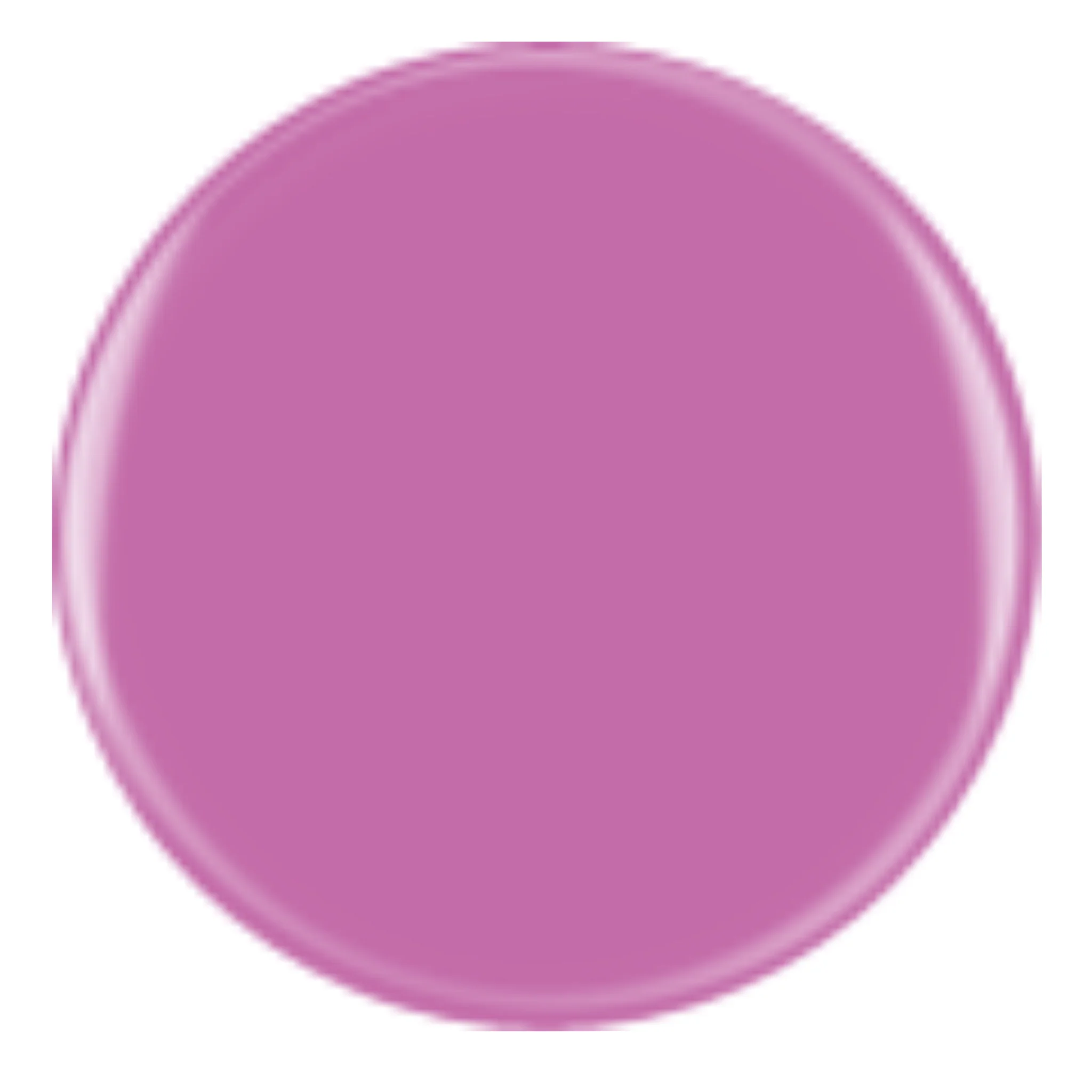 DIVA 310 - Tangoed Lilac - Image 2