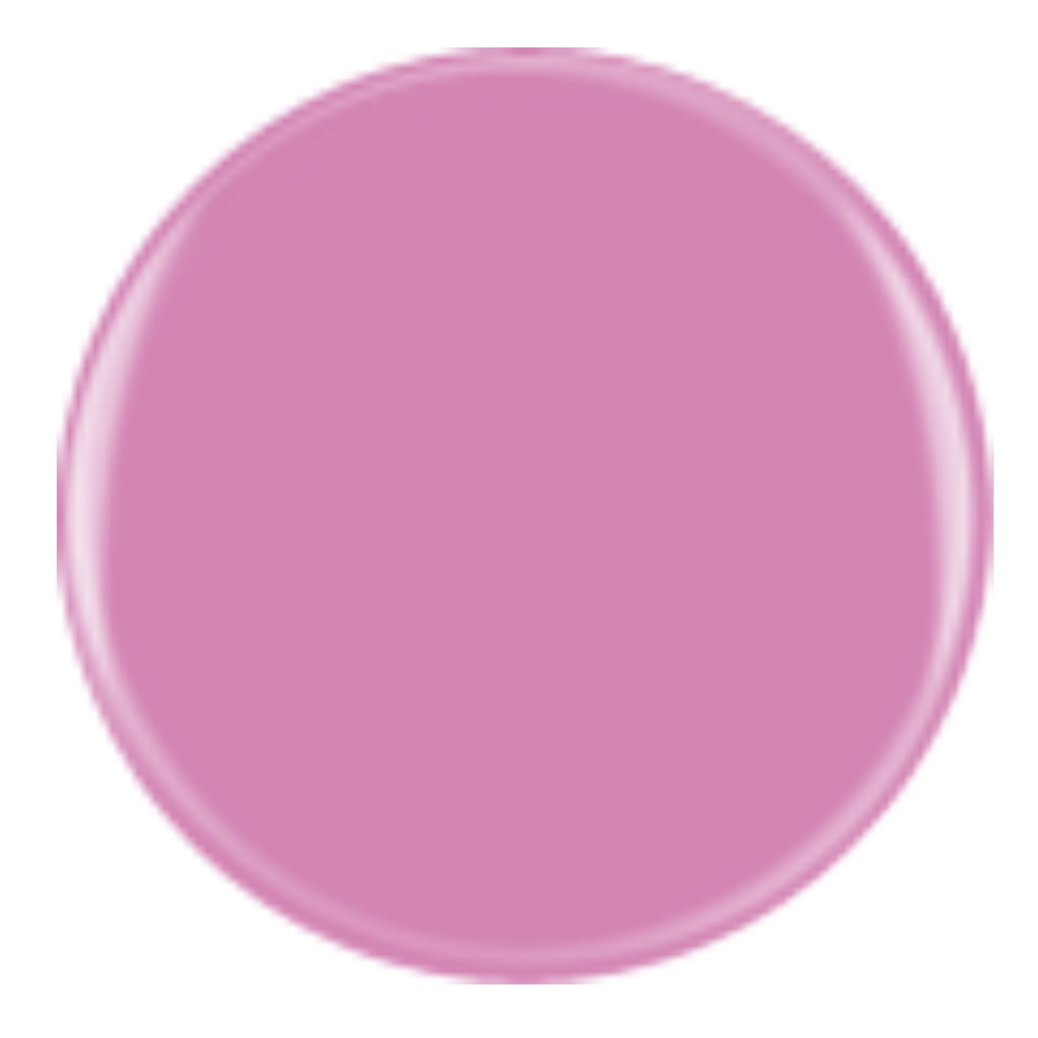 DIVA 312 - Flowerista Wild - Image 2