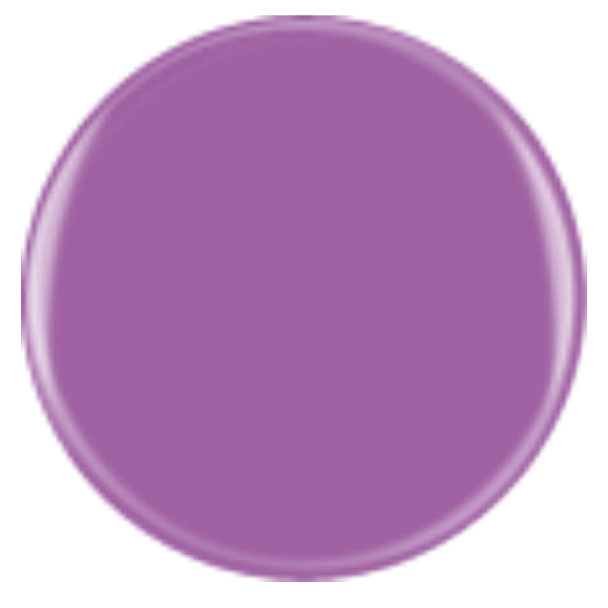 DIVA 330 - Dreamland - Image 2
