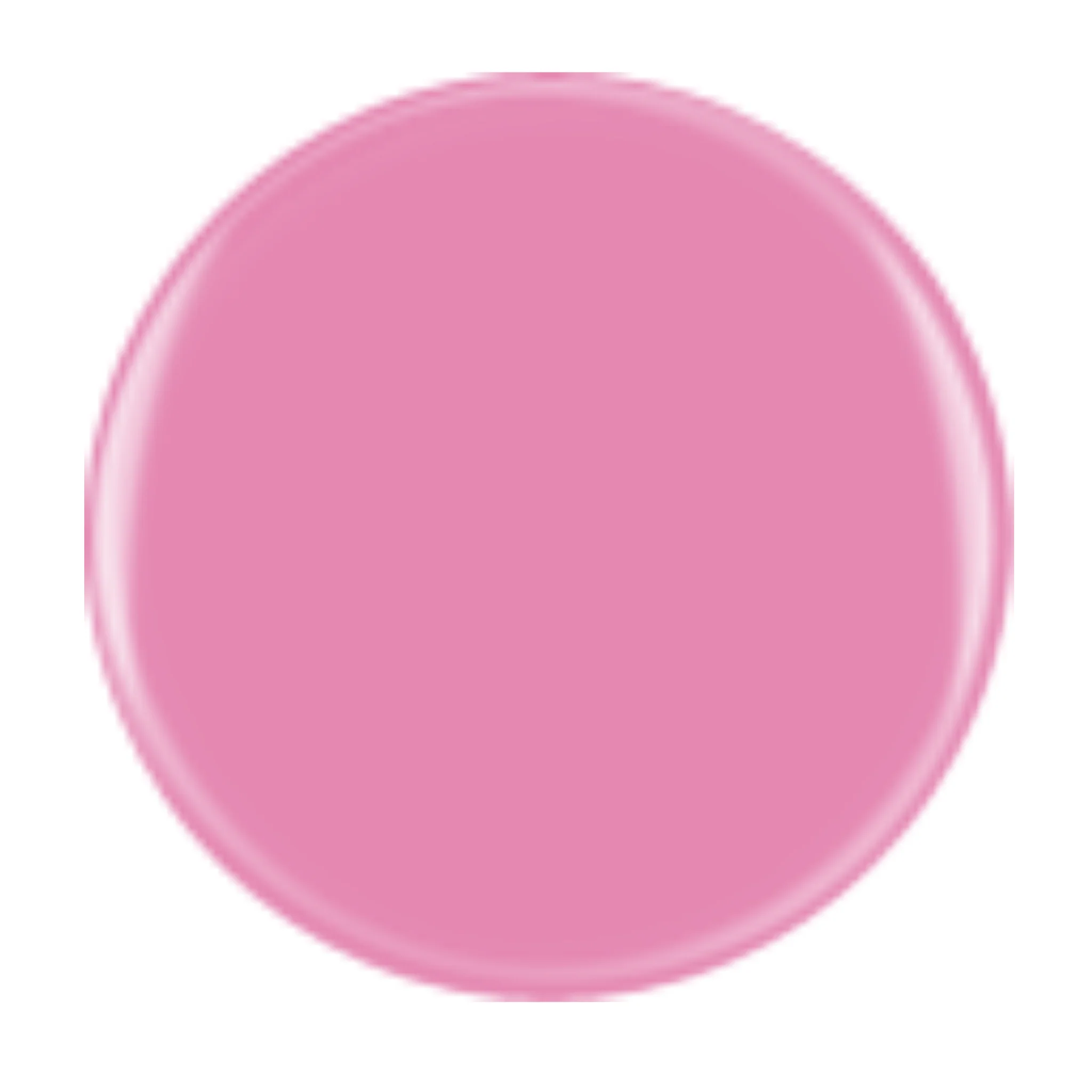 DIVA 337 - Summer Beat - Image 2
