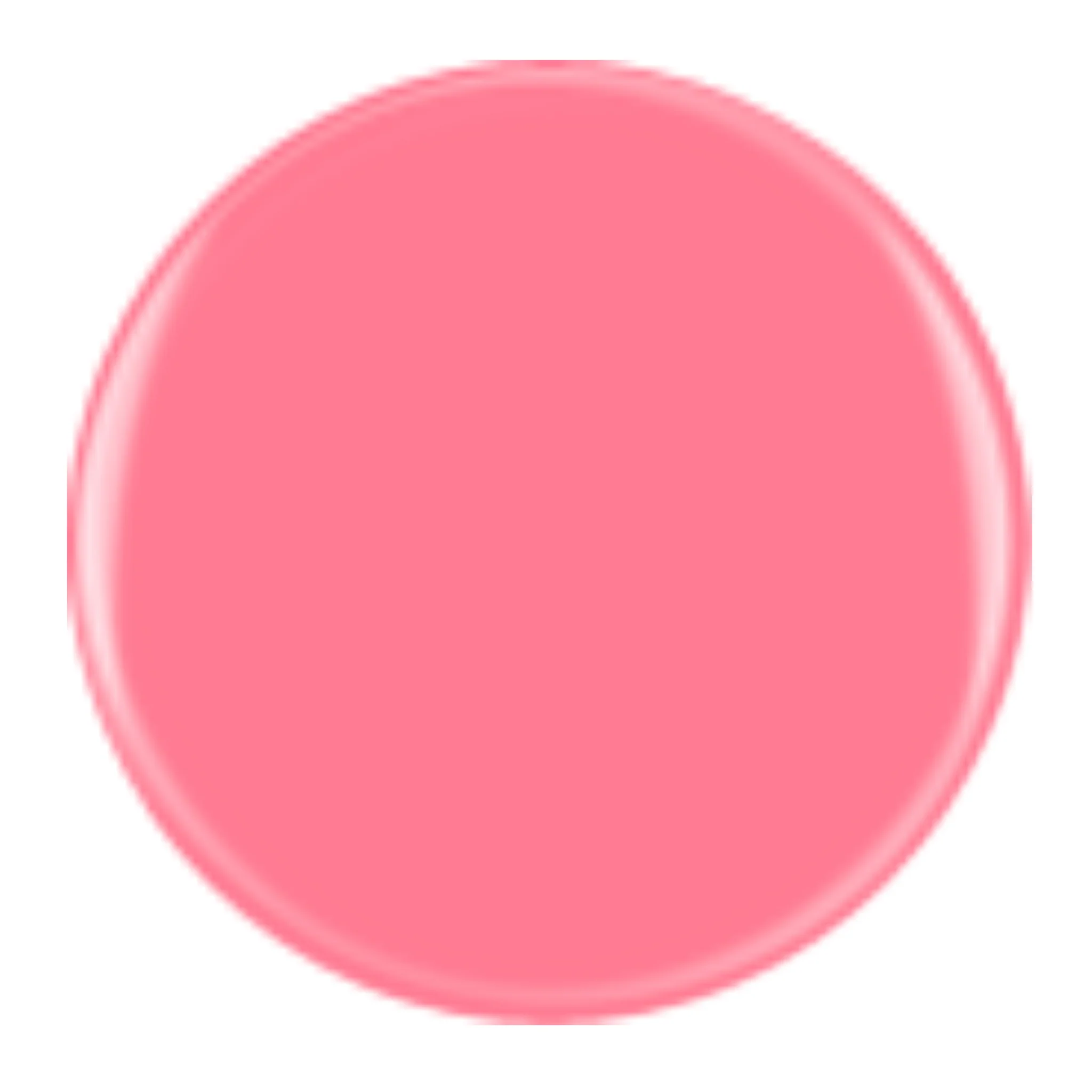 DIVA 339 - Extravagant Bloom - Image 2