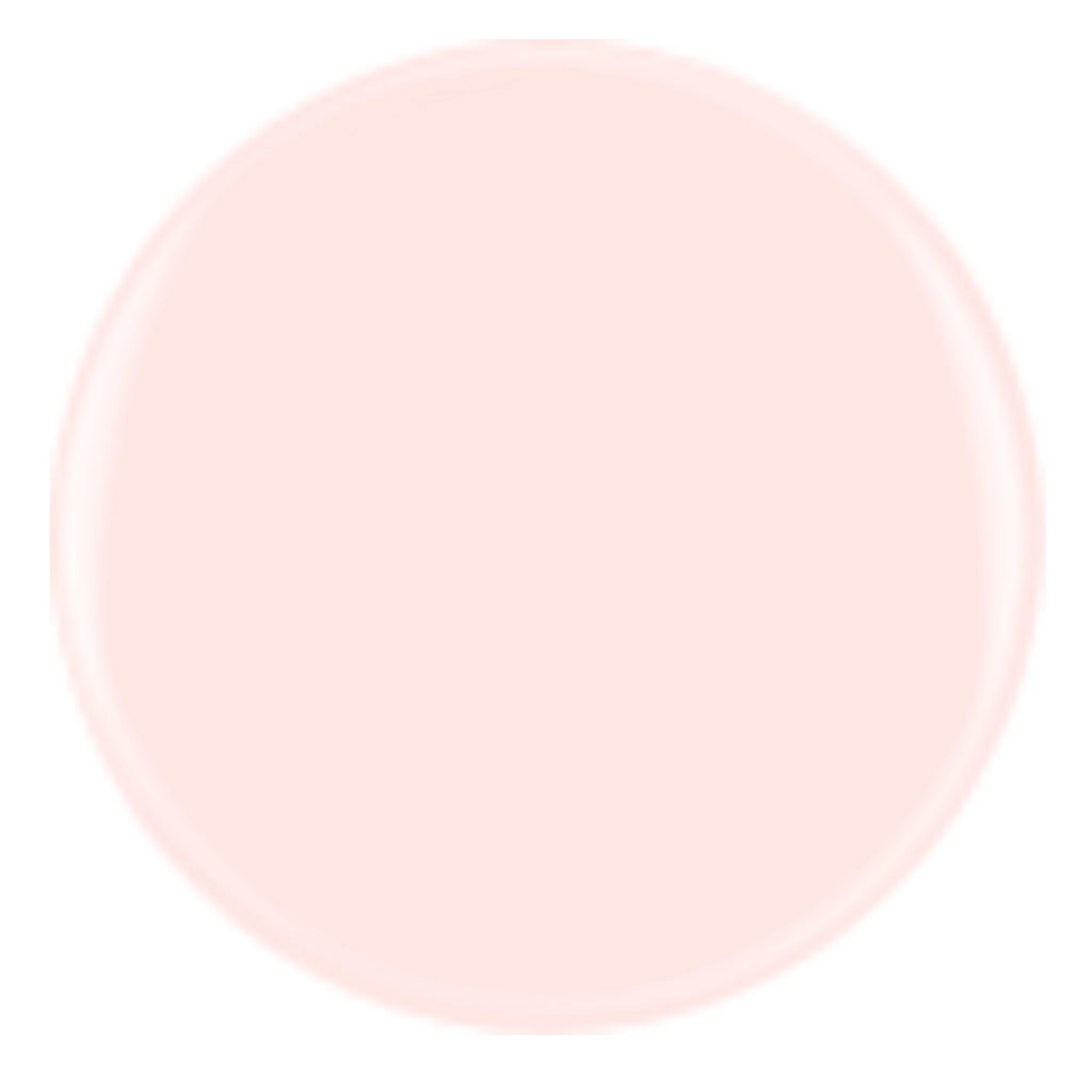 DIVA 342 - That French Pink - Image 2