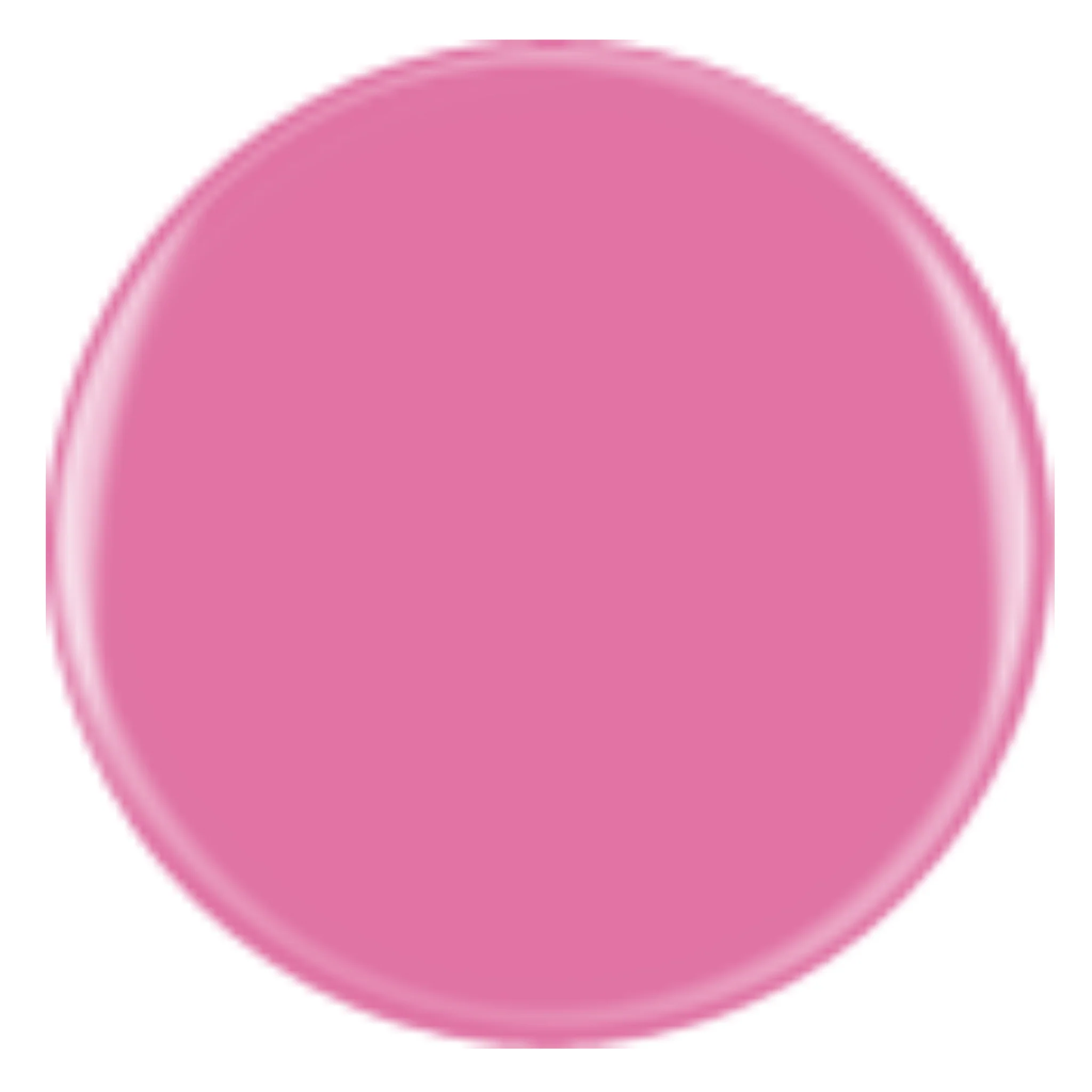 DIVA 345 - Holland Orchid - Image 2