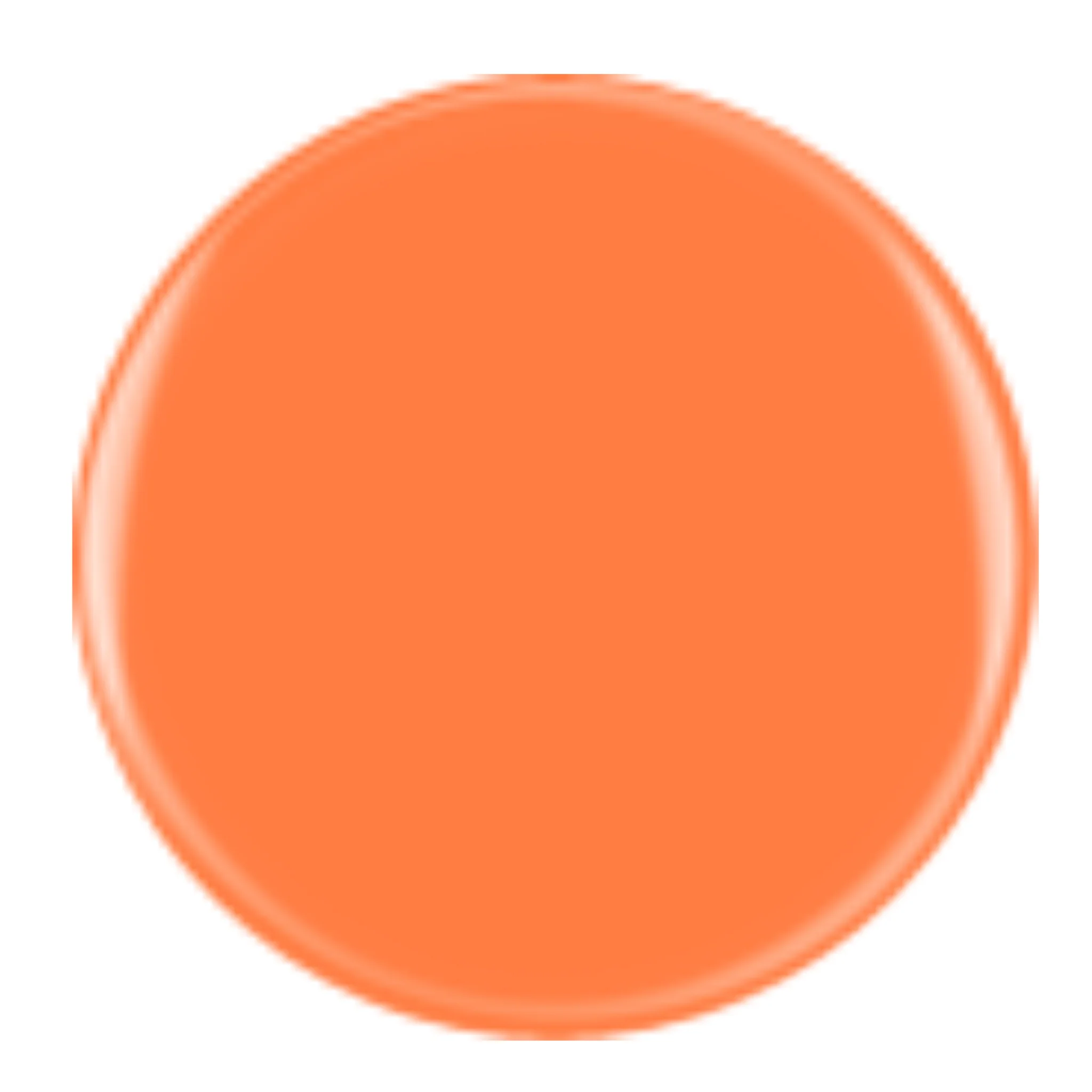DIVA 356 - Griped Orange - Image 2