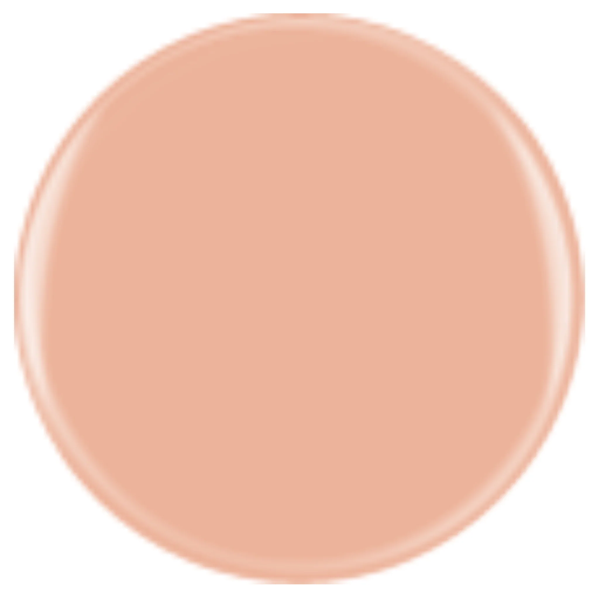 DIVA 375 - Tan Booth - Image 2