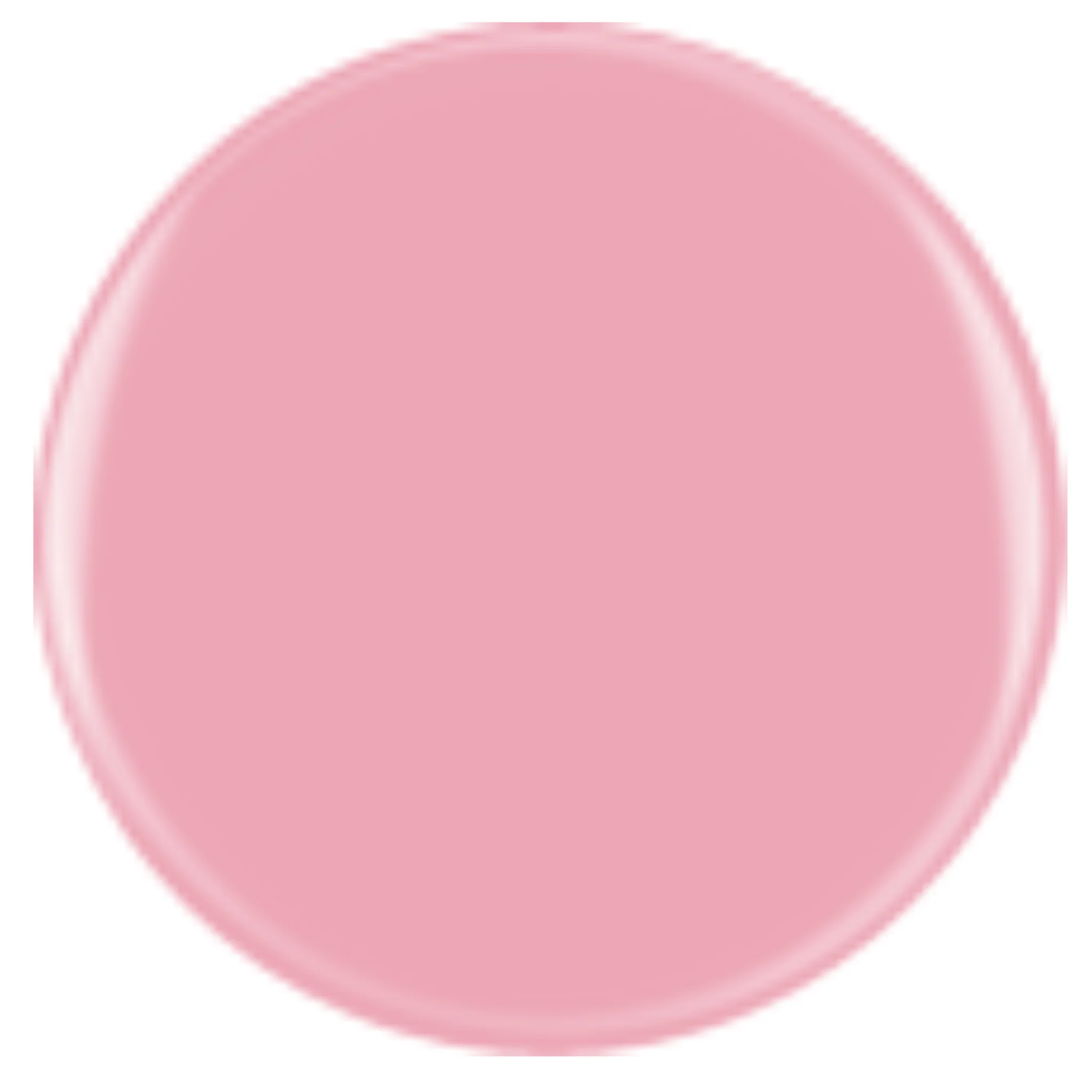 DIVA 389 - Gondola Blushing - Image 2