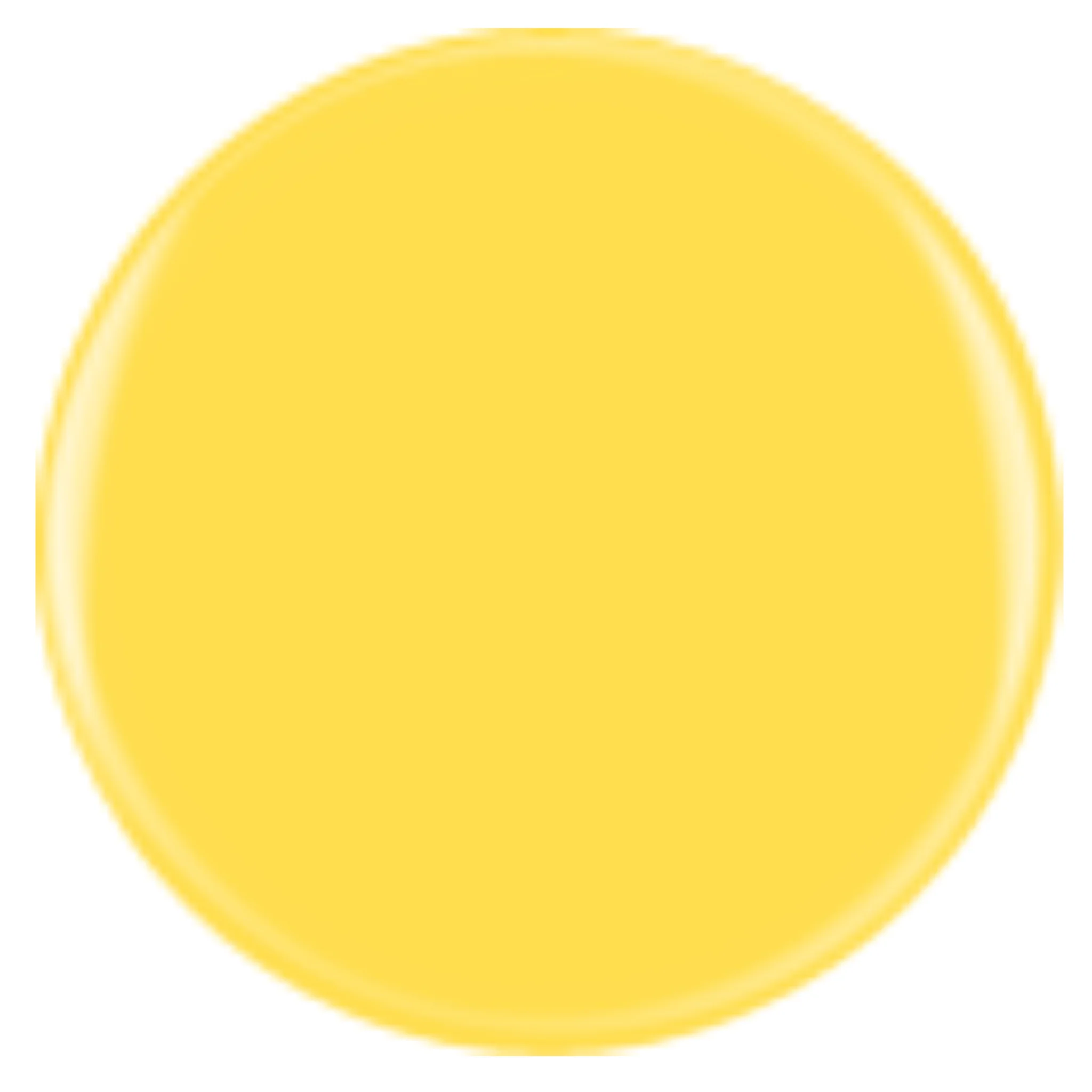 DIVA 390 - Sunny Days - Image 2