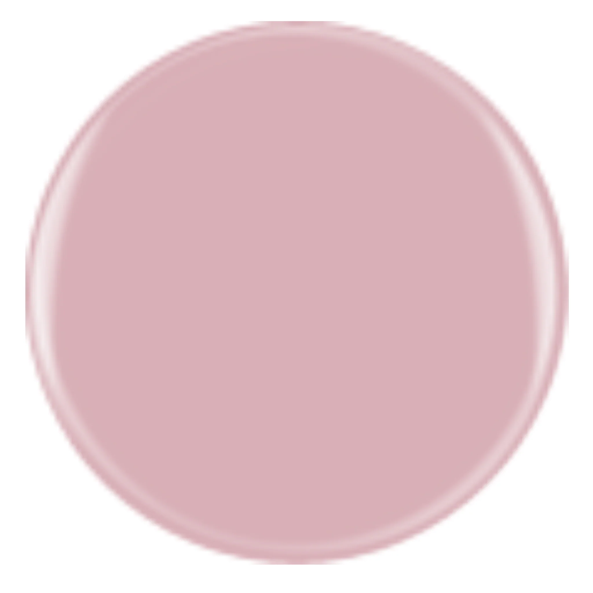 DIVA 393 - Garnet - Image 2