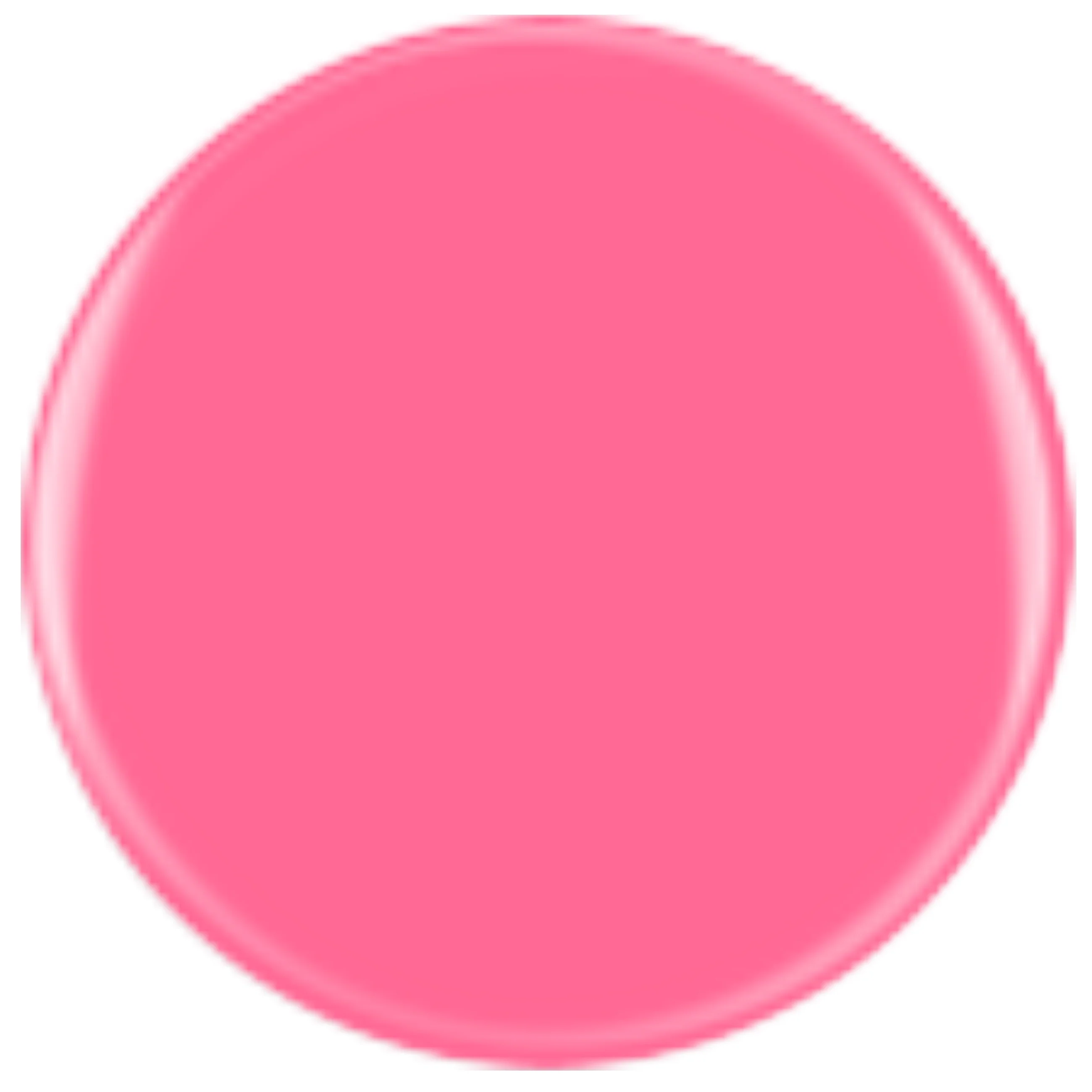 DIVA 40 - Rose Delight - Image 2