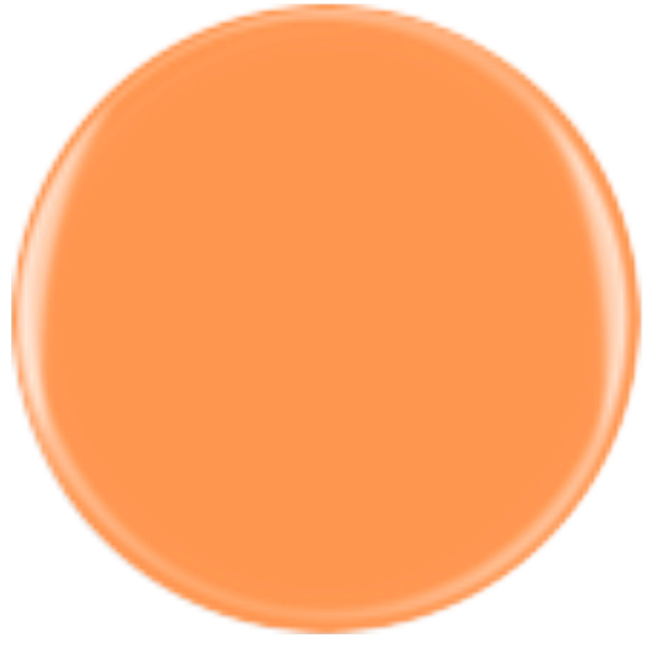 DIVA 62 - Blazing Coral - Image 2