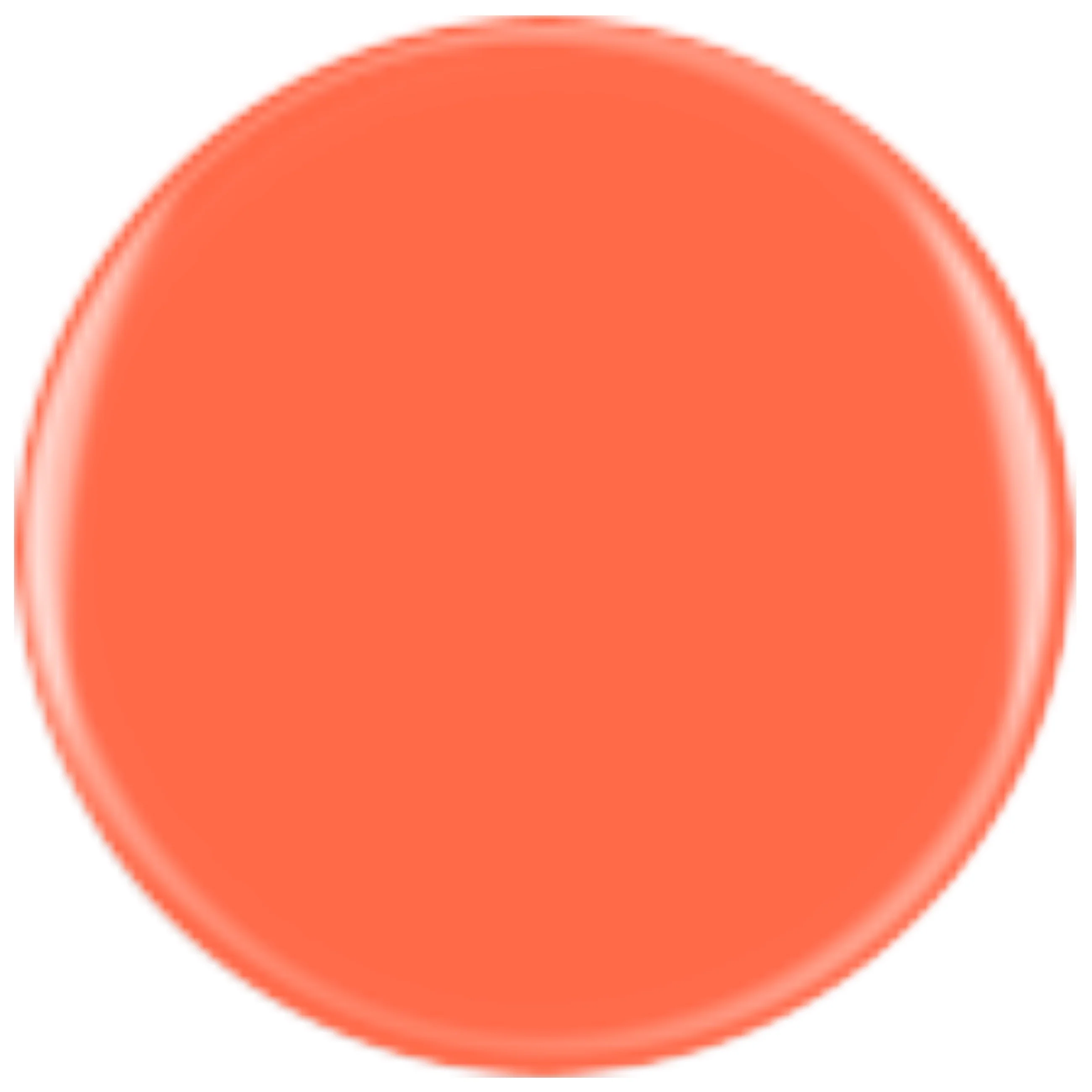 DIVA 70 - Pumpkin - Image 2