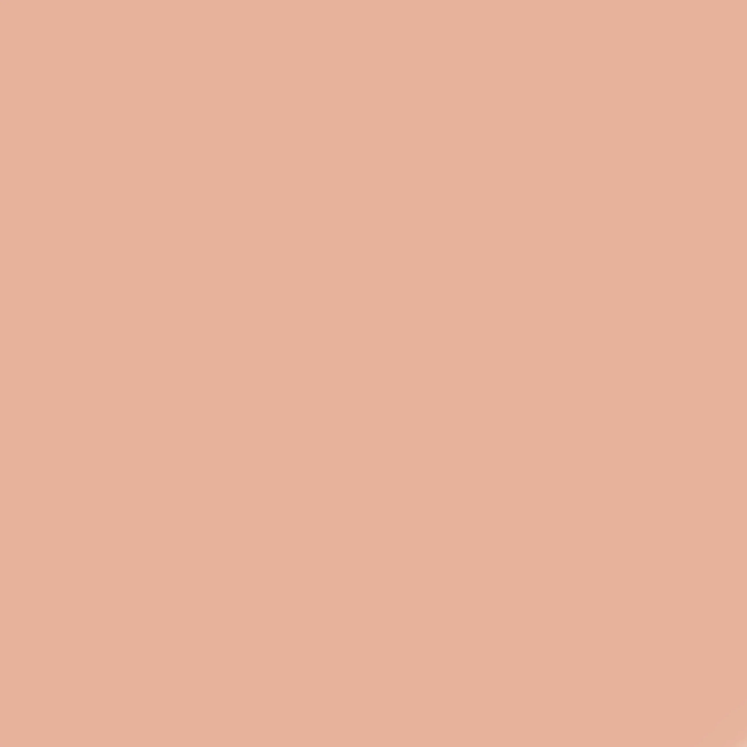 DIVA Refill 45 - Fawn - Image 3